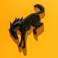 BroncoTom