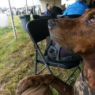 WanderDawgz