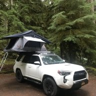 Bumble TRD