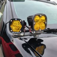 Offgrid bison