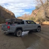 Tpeterson240