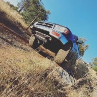 Duckrunner