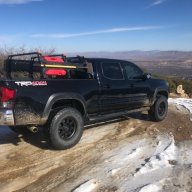 Lazy Cactus Overland