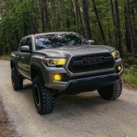 AdamTRD17
