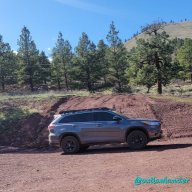 Dustie Fenders