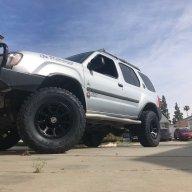 brutus99x