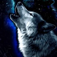 Wolfrunner