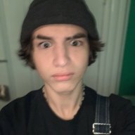 Albovm
