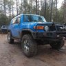 fj_blue_ox