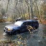 Oregon_Outlaw