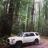 lbc-trd-pro