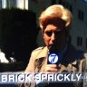 Brick Sprickly