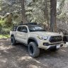 The Dusty Taco