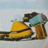 Cariboo skidoo