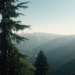 haanstylerm