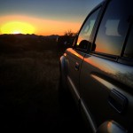 Sonoranrunner
