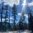 Adam_a75314