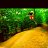 Charley_f2203a