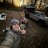 Blaine_766312