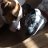 Bailey_25174d