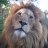 Philip_7062ad