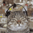 Maurizio_80affa