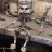 Michael_1c7251