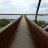 Arnel_c35f6e