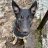 Grayson_d60863