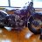 Sean_3271a8