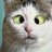 Roy_b4702a