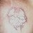Robert_9c64a5