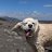 Philippe_02541d