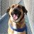 Steffen_d48164