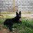 john_f9defd