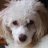 tassen_55978a