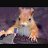 Squirrel_5cfa3f