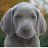 tommy_fd19cb