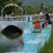Serigala_33cbb2