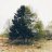 Alastair_5e536a