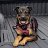 bronson_c92a9c