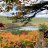 Eric_34930a