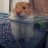 Danny_059278