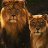 ANTHONY_16e81d