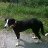 luca_eb5217