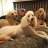 Greg_9631e7