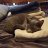 Andrew_8064dc