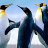 Andrew_48c98e