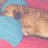 jonna_e2128b