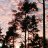 Joonas-Martin_8f86a6